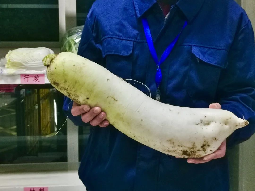 ef13531e24d164aef97a9a92a2ffefa1