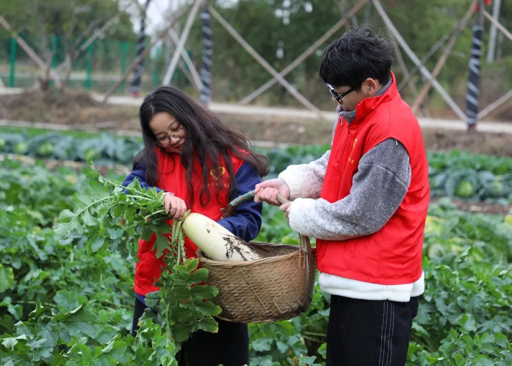 ffa4d498631e7d1e68431ea4d2f98e70