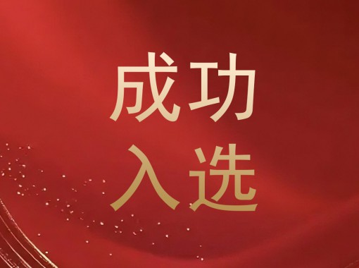 成功入选(1)