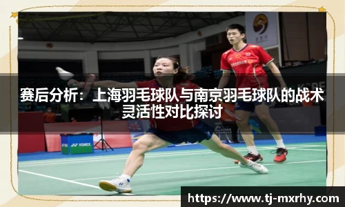 赛后分析：上海羽毛球队与南京羽毛球队的战术灵活性对比探讨