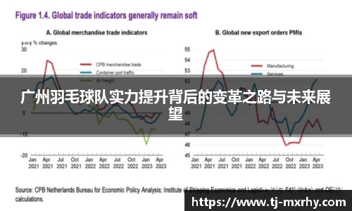 广州羽毛球队实力提升背后的变革之路与未来展望